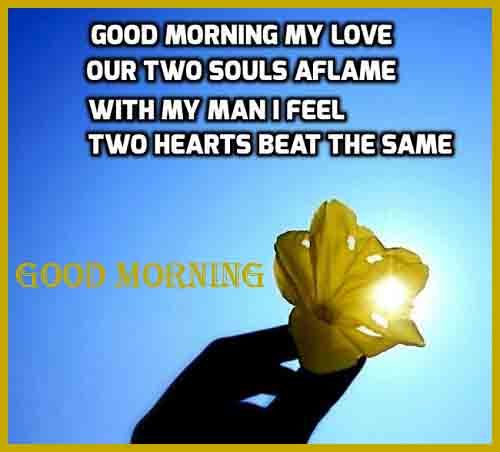 beautiful pics of Good Morning love quotes download