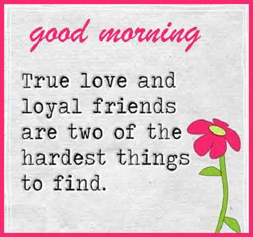 full image of Good Morning love quotes download