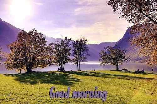 nature image with good morning caption