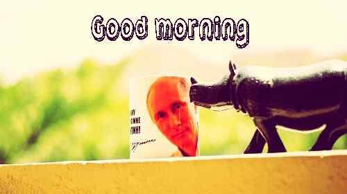 new good morning image HD for friend