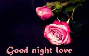 beautiful good night rose HD image download