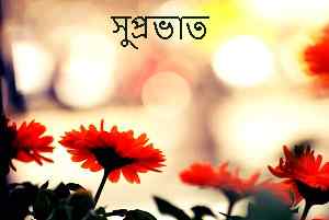 Nice photo of bengali good morning free download