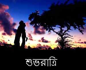 beautiful bengali good night image HD
