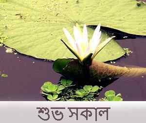 bengali caption with good morning image