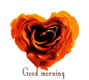 best heart image with good morning rose