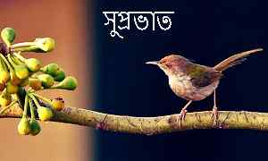 nice picture of Bengali good morning free download