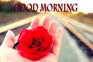 nice picture of good morning free download