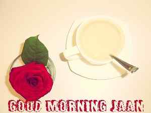 nice tea with good morning rose