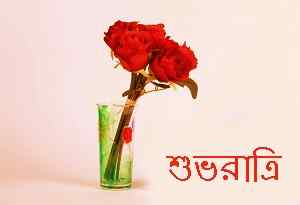 photo of rose with bengali good night