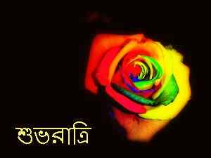 top rose image with bengali good night wallpaper