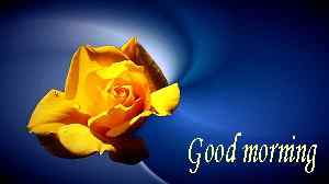 yellow picture with good morning