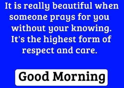 top picture of good morning status wish download