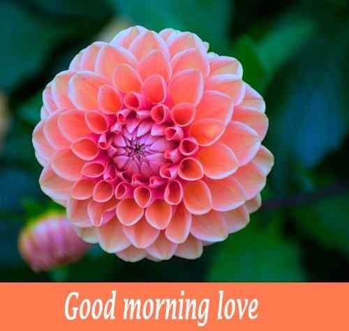 beautiful good morning wallpaper download for wife