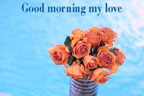 nice flowers image with good morning download