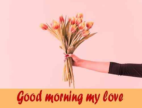 nice flowers of love good morning download