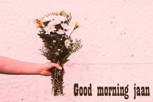 nice wallpaper of good morning flowers download
