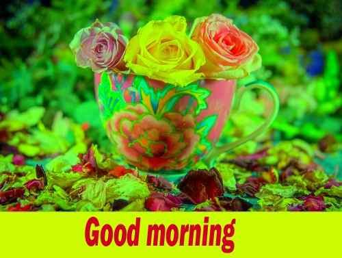 sweet flowers image with good morning caption