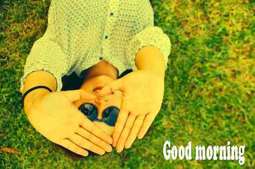 top photo of good morning love free download
