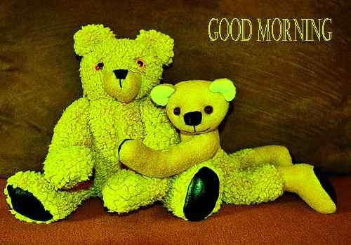 top teddy pic of good morning download