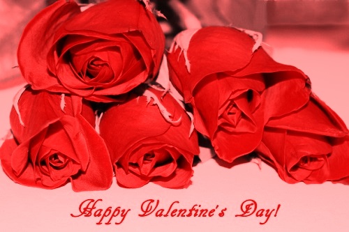 valentines-day-red-roses Whatsapp