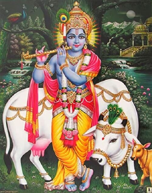 43 Shri Krishna Images Download For Pics Wallpaper Photo Download Hd Www Pagalladka Com