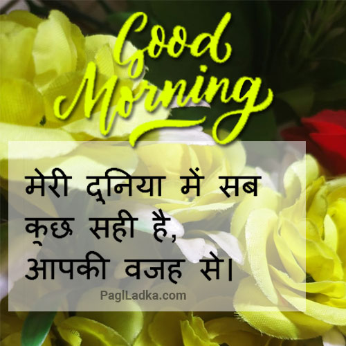 Lovely Quotes & Flowers for Good Morning Wishes